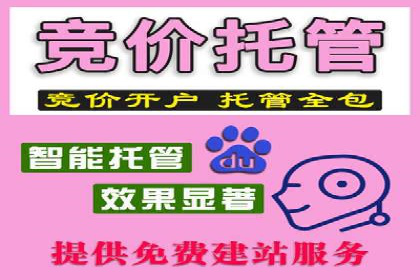 行业标杆案例：百度推广托管优化策略全解析