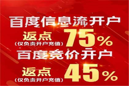 案例解析：SEM效果提升技巧